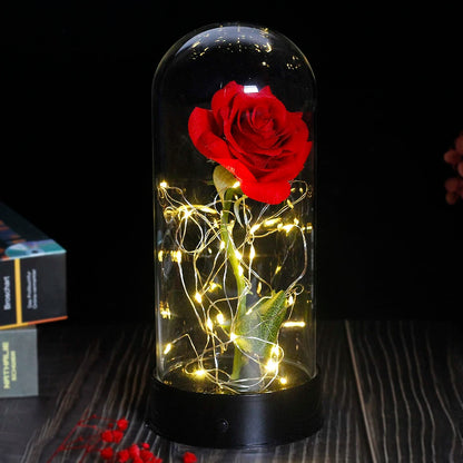 Beauty and the Beast Rose Rose in LED Glass Dome Forever Rose Red Rose Valentine'S Day Mother'S Day Special Romantic Gift